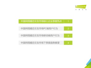 2016年第二季度中國(guó)網(wǎng)絡(luò)婚戀行業(yè)監(jiān)測(cè)報(bào)告 婚戀信息咨詢市場(chǎng)分析與展望